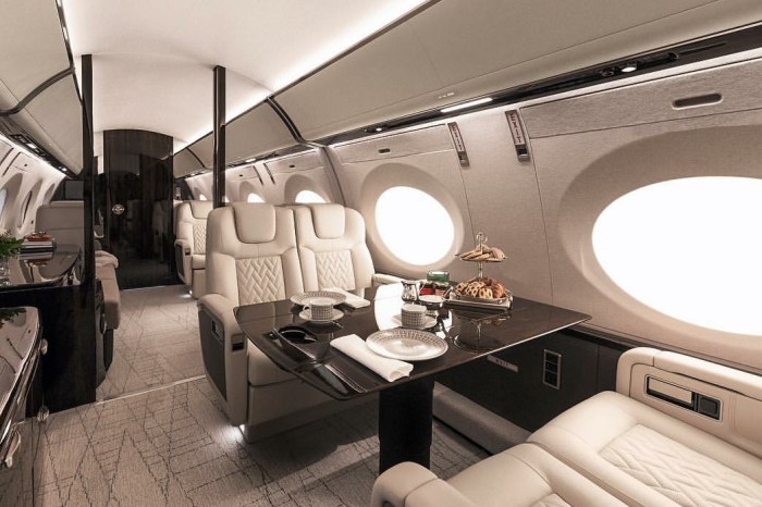 Eco-Friendly Private Jet Travel Options