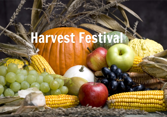 Harvest Festivals and Seasonal Celebrations