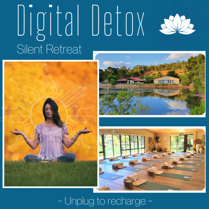 Top Wellness Retreats for Digital Detox
