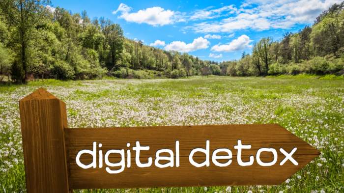 Top Wellness Retreats for Digital Detox