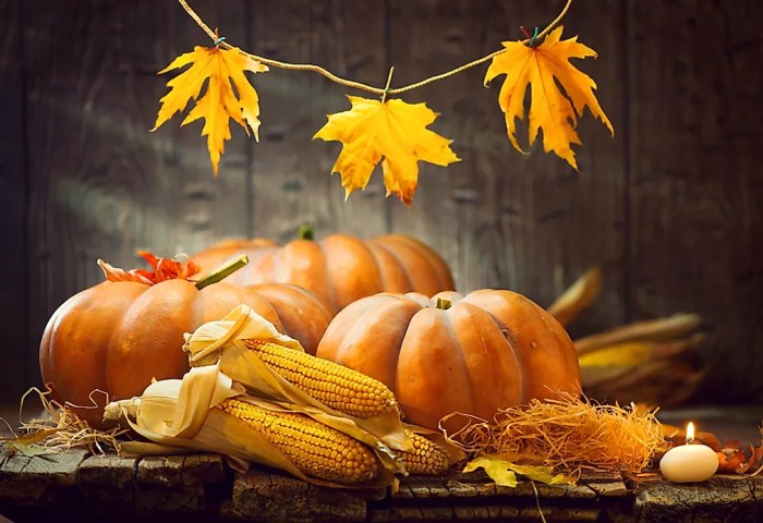 Harvest Festivals and Seasonal Celebrations